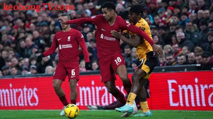 Liverpool hòa trong trận ra mắt Gakpo 